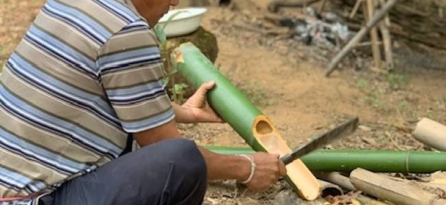 1 Day Learning: Bamboo