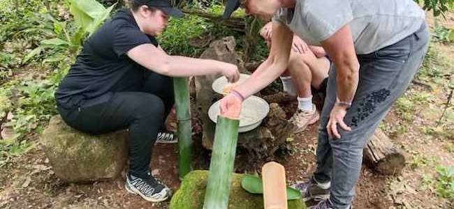 1 Day Learning: Bamboo